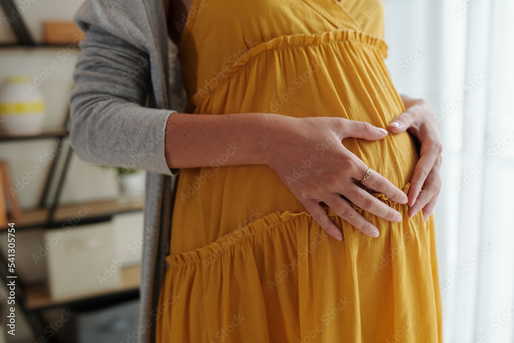 Obraz premium Happy Pregnancy and Motherhood