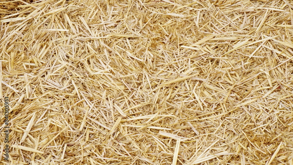 Textura de heno Stock Photo | Adobe Stock