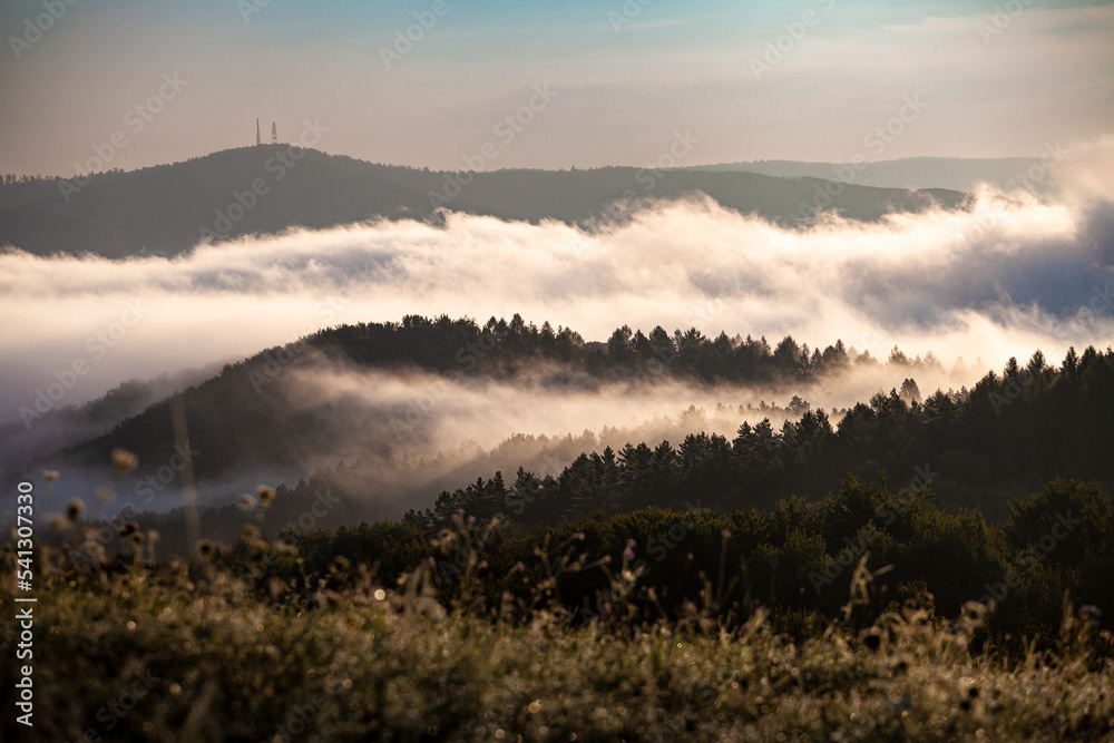Góry we mgle, Bieszczady, Polska