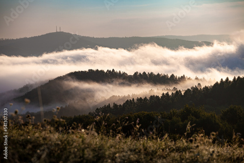 Góry we mgle, Bieszczady, Polska