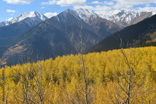 Autumn colors and snow-capped mountain peaks