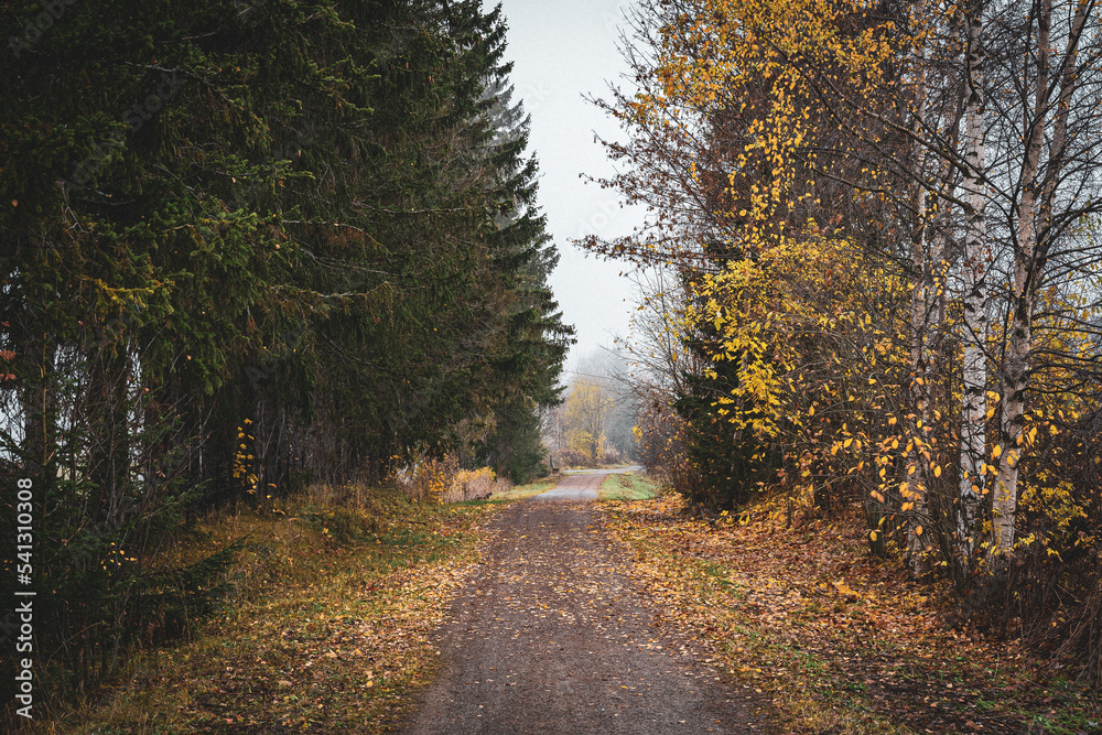 Obraz premium Along former Skreiabanen Railroad westward from Lena a foggy autumn evening.