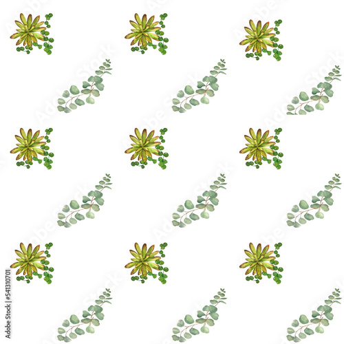 Watercolor composition of eucalyptus and succulent leaves. Pattern. White background. It can be printed on fabrics, when designing websites, when developing advertising banners 