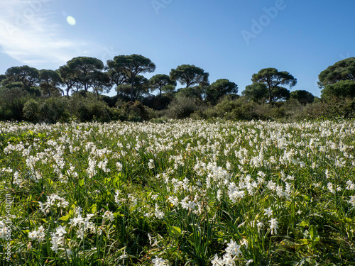 paisaje parque natural