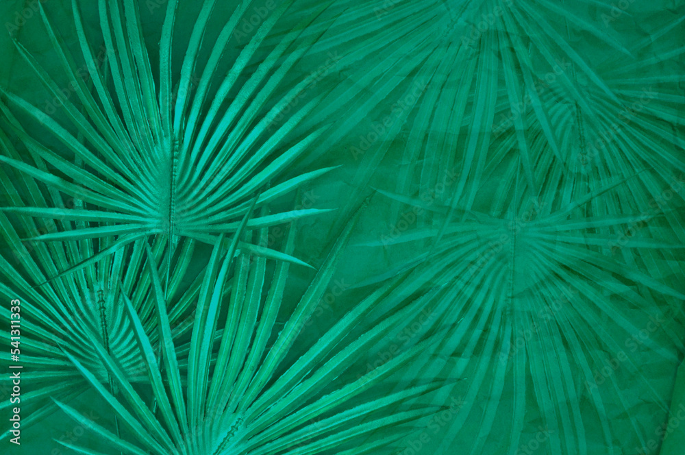 Obraz premium abstract dark turquoise background with palm leaves on a craft paper