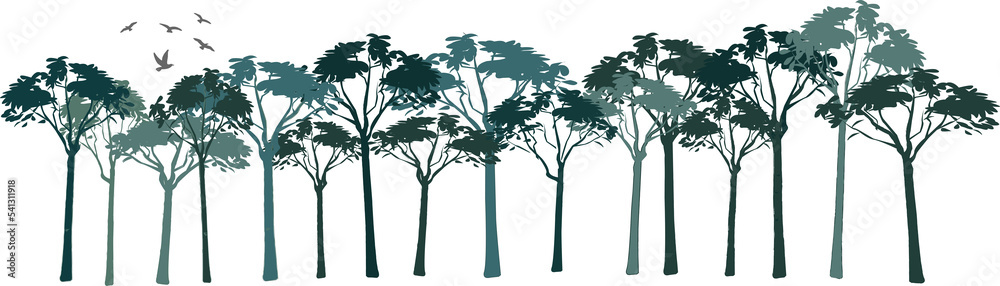 Obraz premium Dense forest drawing. Side by side sequential drawing of green trees.