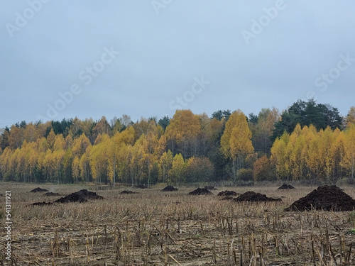 Fototapeta Naklejka Na Ścianę i Meble -  Ecological farming. Autumn fertilizer field. The farmers hauled manure to the fields.