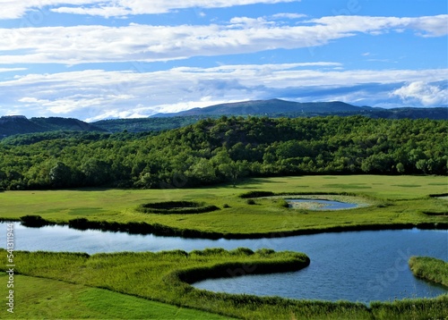 Beautiful landscape with water and green grass