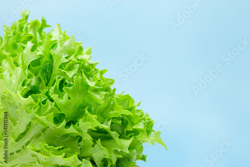 Green organic lettuce salad on a blue background. The concept of a healthy diet, healthy foods, a source of vitamins. Space to insert text.