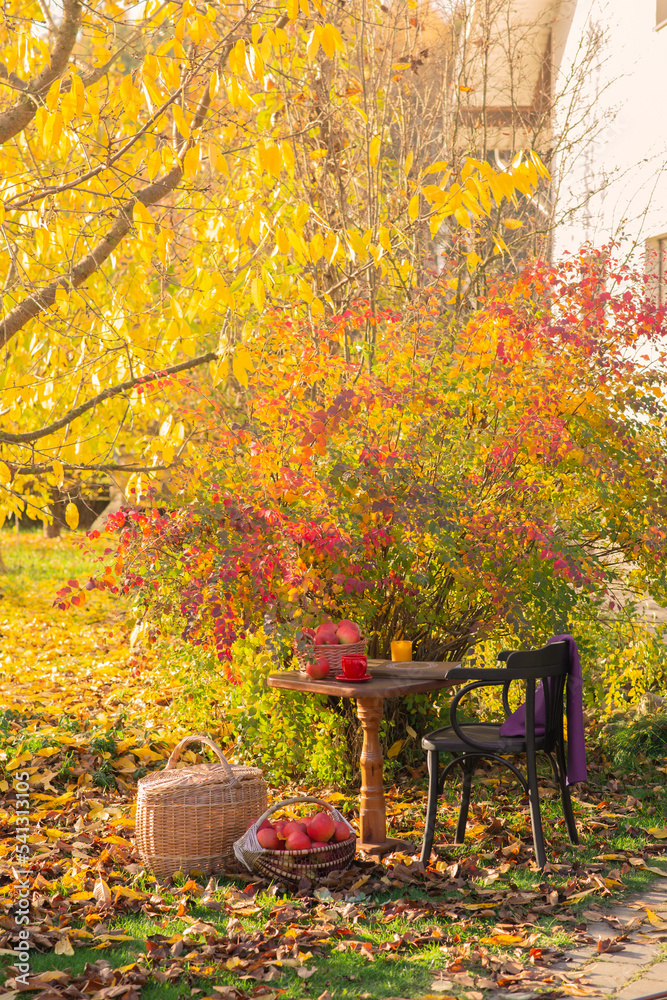In the autumn garden there is a table with apples, a chair and a cup of coffee. Sunny day in the autumn garden. In the autumn garden there is a table with apples, a chair and a cup of coffee. Sunny day in the autumn garden.