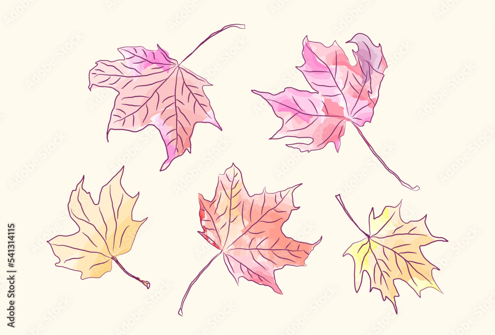 Tender autumn background. Falling autumn leaves. Maple, oak and ash leaves vector illustration. Abstract autumnal scene