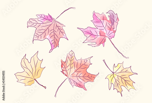 Wallpaper Mural Tender autumn background. Falling autumn leaves. Maple, oak and ash leaves vector illustration. Abstract autumnal scene Torontodigital.ca