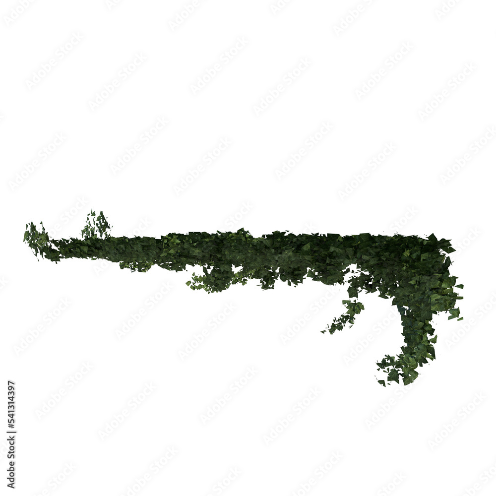 Front view of Plant (creeper 2) Tree png Front view of Plant (creeper 2) Tree png