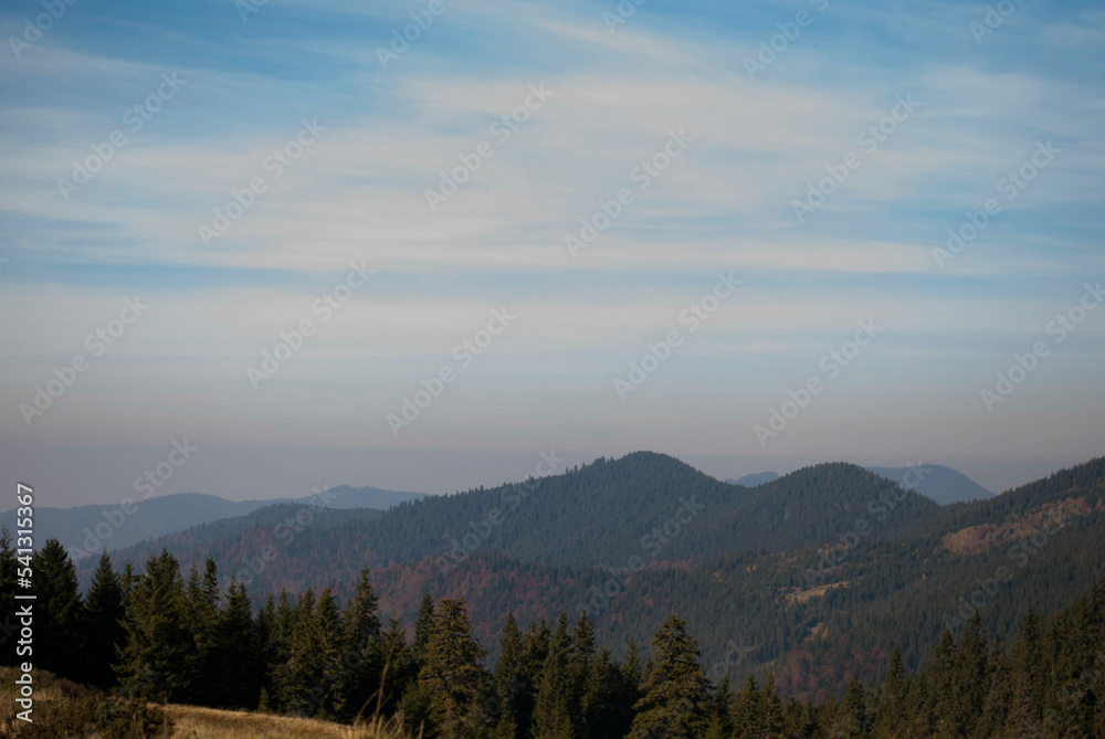 View on mountain and trees n autumn