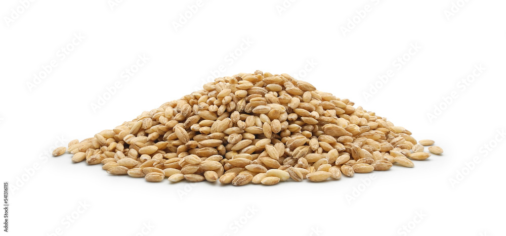 Heap of raw pearl barley groats isolated on white background. Organic cereals for healthy eating. Heap of raw pearl barley groats isolated on white background. Organic cereals for healthy eating.