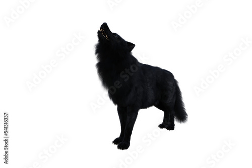 Black Dire Wolf howling. 3d illustration isolated on transparent background 