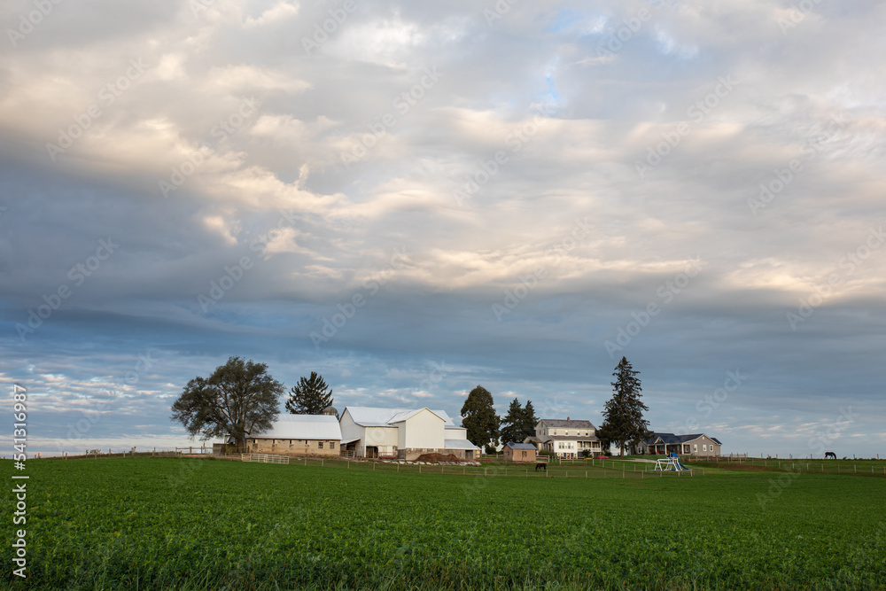 Obraz premium Amish farm in the middle of a field in the countryside of Holmes County, Ohio