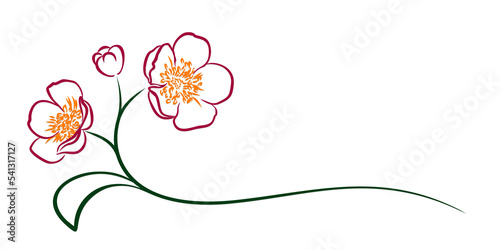 The Symbol of red garden flower.