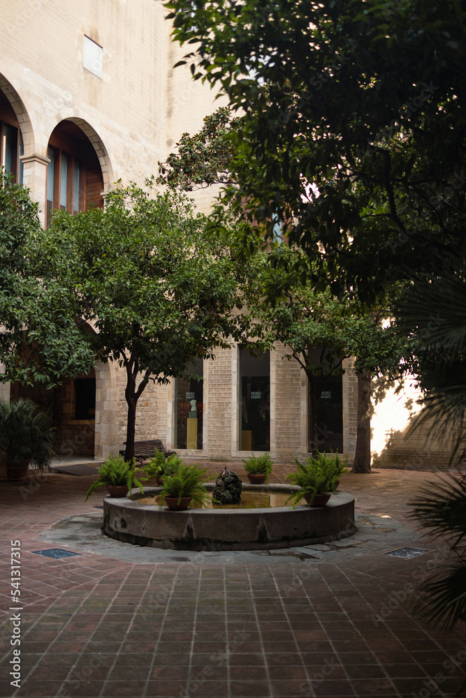 Street view with a water fountain of green plants and orange trees around in a cozy courtyard. Valencia, Spain. High quality photo