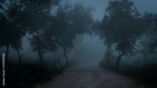 Lane in the dark with wind and fog photo