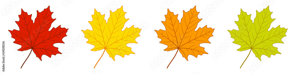 Obraz premium Autumn maple leaves set