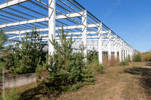 A new large production hall covered with large conifers. A clear sunny day.