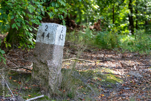 White painted stone border post standing in the forest.