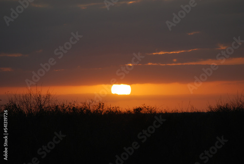 EVERGLADES SUNSET