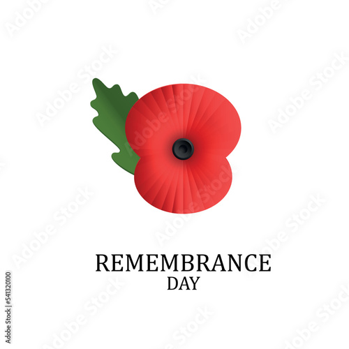 The remembrance poppy - poppy appeal. Poppy flower isolated on white. Decorative flower for Remembrance Day, Memorial Day, Anzac Day in New Zealand, Australia, Canada and Great Britain. EPS10 vector.