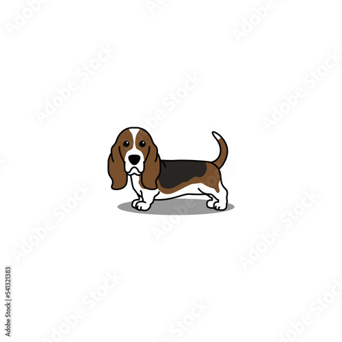 Cute basset hound dog cartoon, vector illustration