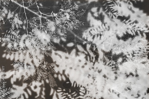 Abstraction, abstract background with space for text or image, vintage tone filter, black and white background of autumn landscape, foliage of city park trees in negative format.