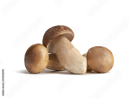 Different white mushrooms on a white background