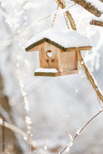 Wooden Birdhouse in winter (vertical) © Lydia