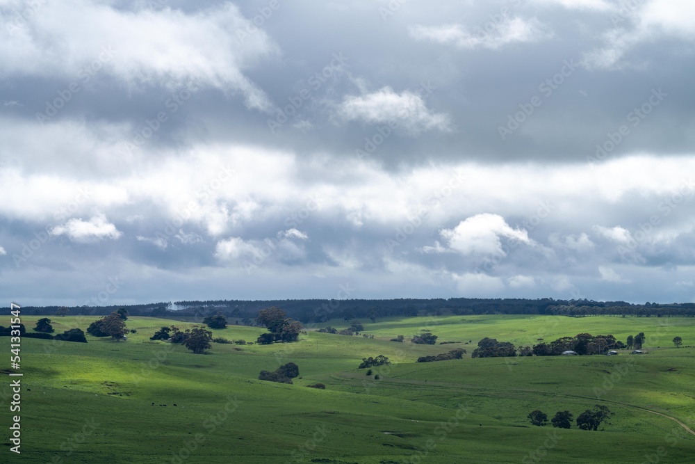 Green rolling hills of farm land in a field in spring time