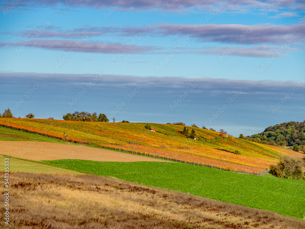 Weinberge im Herbst