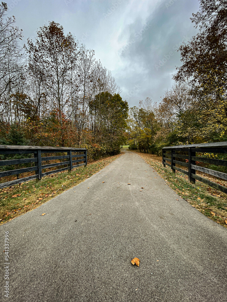Asphalt trail in a park surrounded by black wooden fences. A sole orange autumn leave fallen in the middle of the path. Asphalt trail in a park surrounded by black wooden fences. A sole orange autumn leave fallen in the middle of the path.