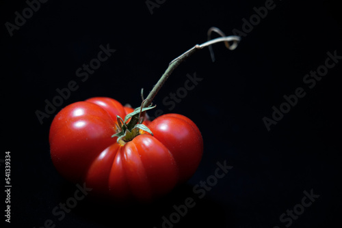 tomatoes on a black background