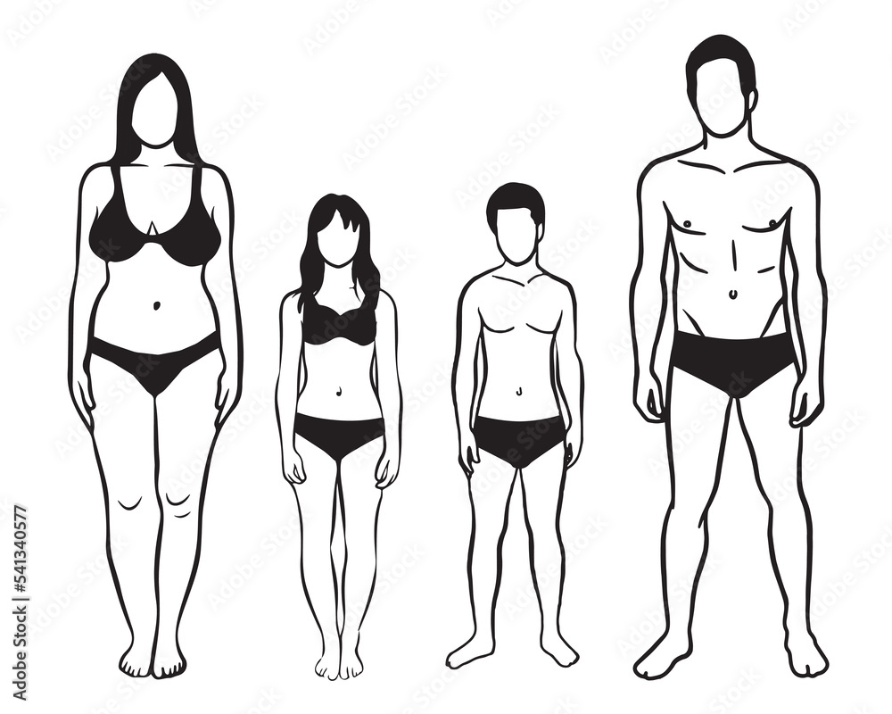 Illustration woman, man and two teenager wearing underwear in front pose. Vector drawing isolated on white background. Illustration woman, man and two teenager wearing underwear in front pose. Vector drawing isolated on white background.