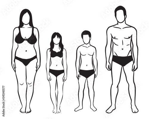  Illustration woman, man and two teenager wearing underwear in front pose. Vector drawing isolated on white background.