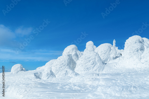 山形蔵王の白銀世界の樹氷