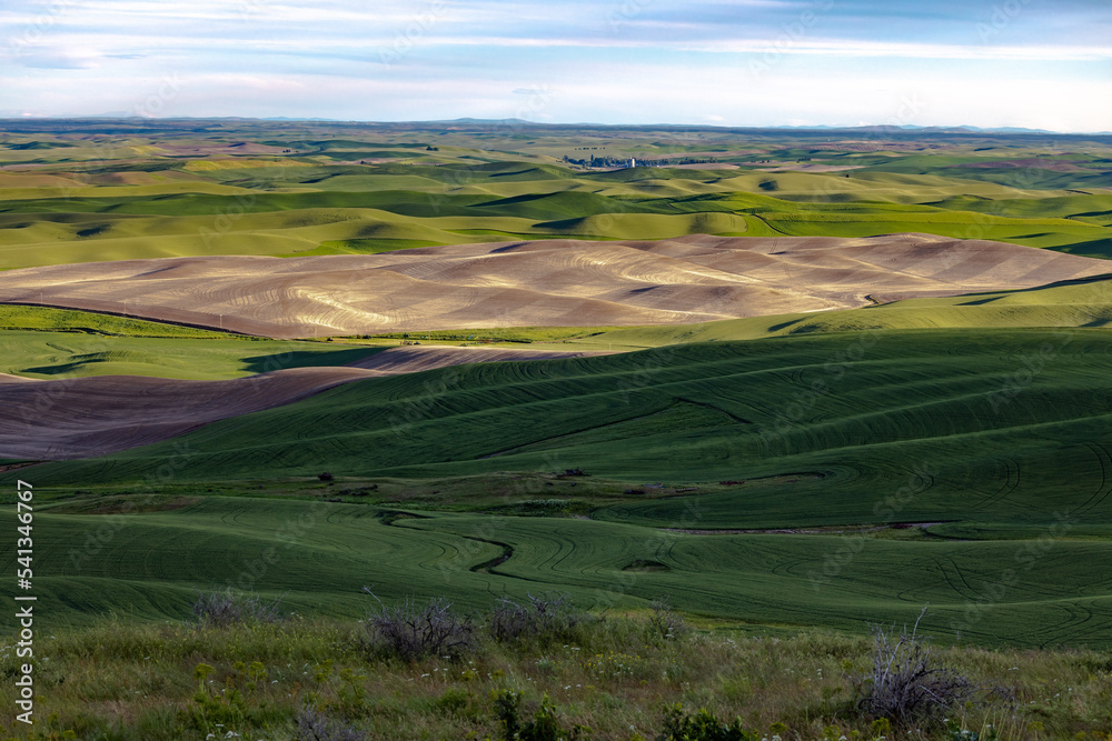 Steptoe Butte Vista 7 Steptoe Butte Vista 7