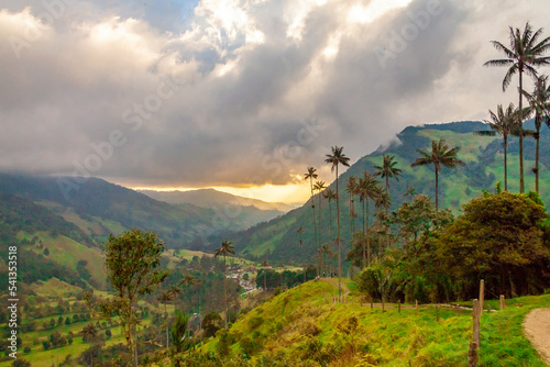 wax palm in Salento Quindio and Valle del Cocora Colombia