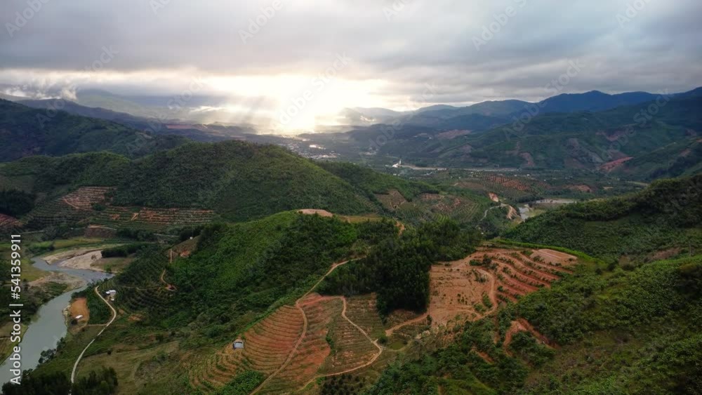 Scenic Terraced Fields And Hills In Phuoc Binh, Vietnam - aerial drone shot Scenic Terraced Fields And Hills In Phuoc Binh, Vietnam - aerial drone shot