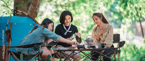Group of young women cooking while camping in park #541361981