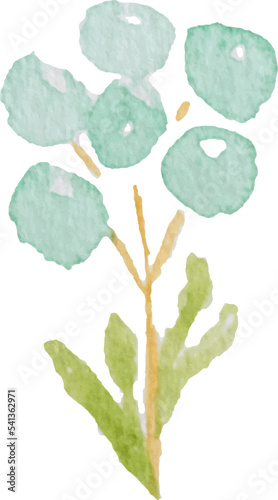 watercolor green leaf element
