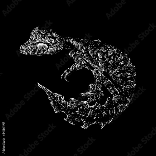 Satanic leaf-tailed gecko hand drawing. Vector illustration isolated on black background.