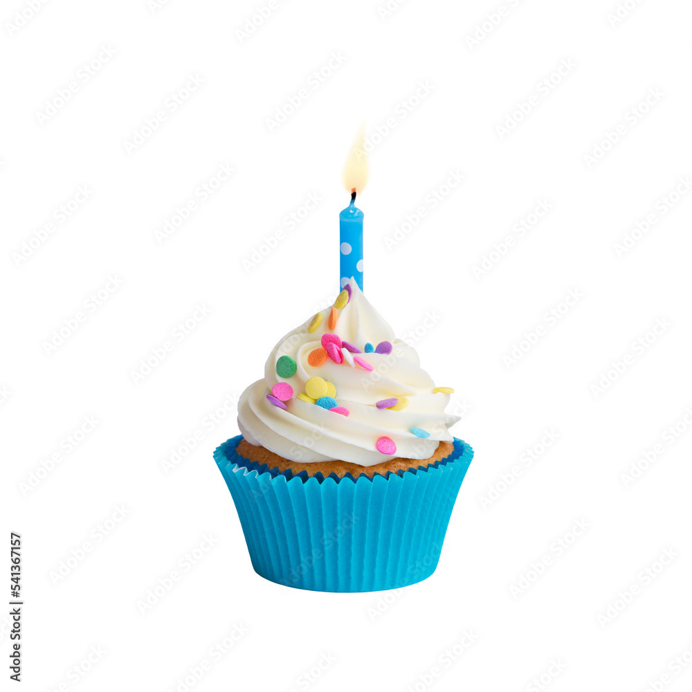 Birthday Cake PNG Format With Transparent Background Stock Illustration |  Adobe Stock