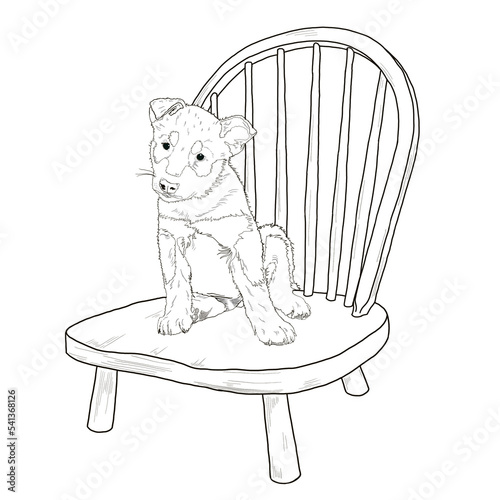 therapy dog in training enjoys sitting for puppy pet portraits and practices good listen and excellent sit line drawing illustration element