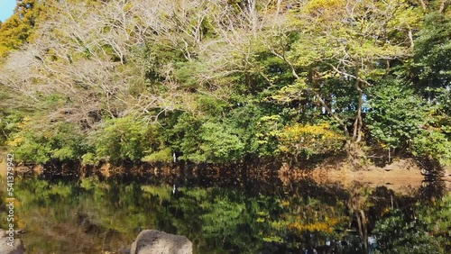 Autumn forest with trees in different colors and their reflection on the lake