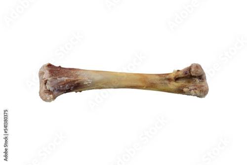 eaten bone of chicken leg, no meat, isolate, transparent background